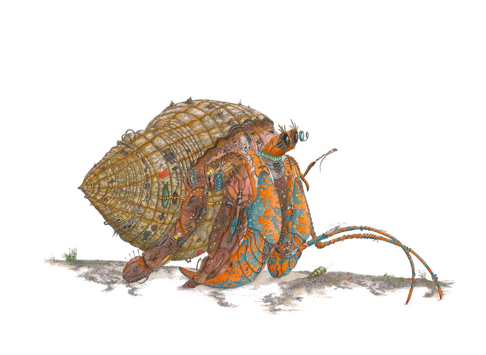 Herman the Hermit